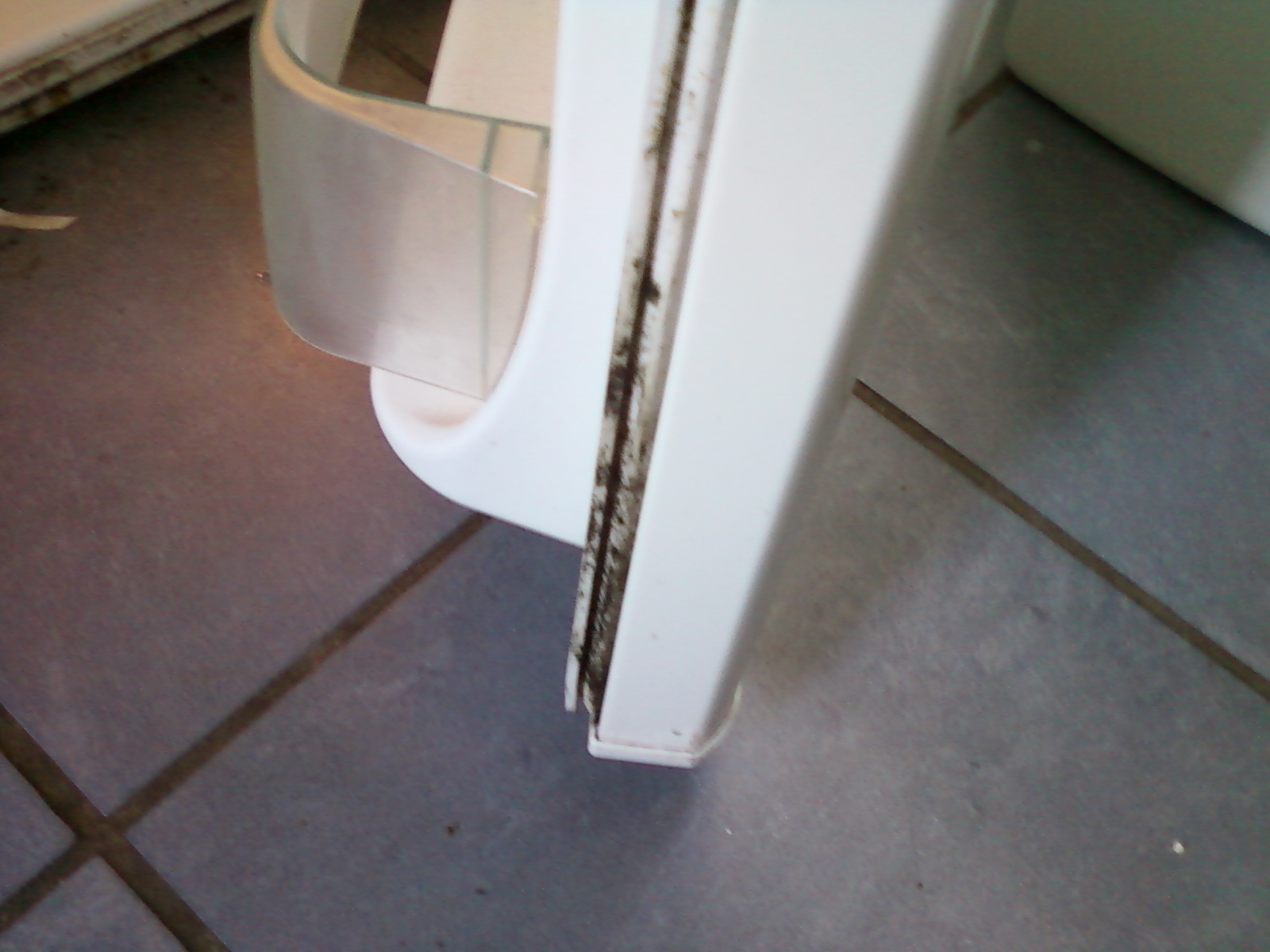 mould on the fridge