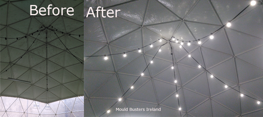 dome-clean-mould-project