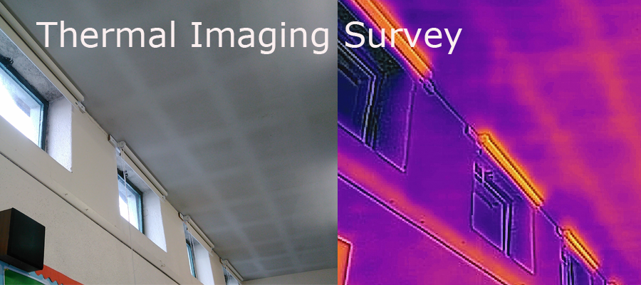 thermal-imaging-survey-school